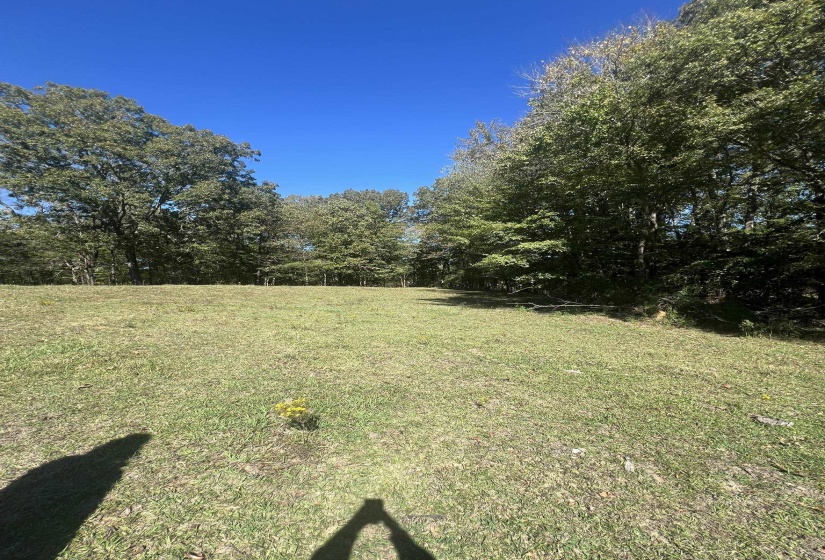 0 WALLS RD, Somerville, Tennessee 38068, ,Land,For Sale,WALLS,10207816