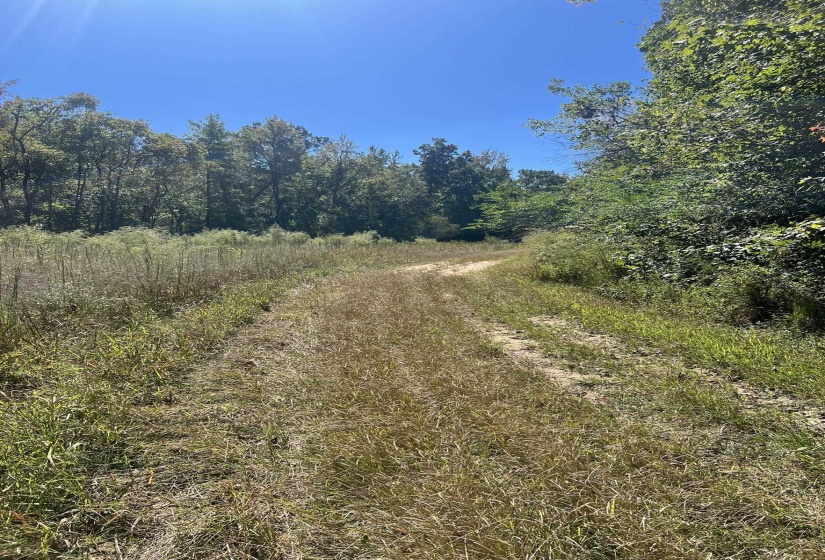 0 WALLS RD, Somerville, Tennessee 38068, ,Land,For Sale,WALLS,10207816