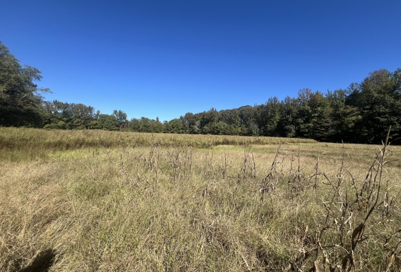 0 WALLS RD, Somerville, Tennessee 38068, ,Land,For Sale,WALLS,10207816