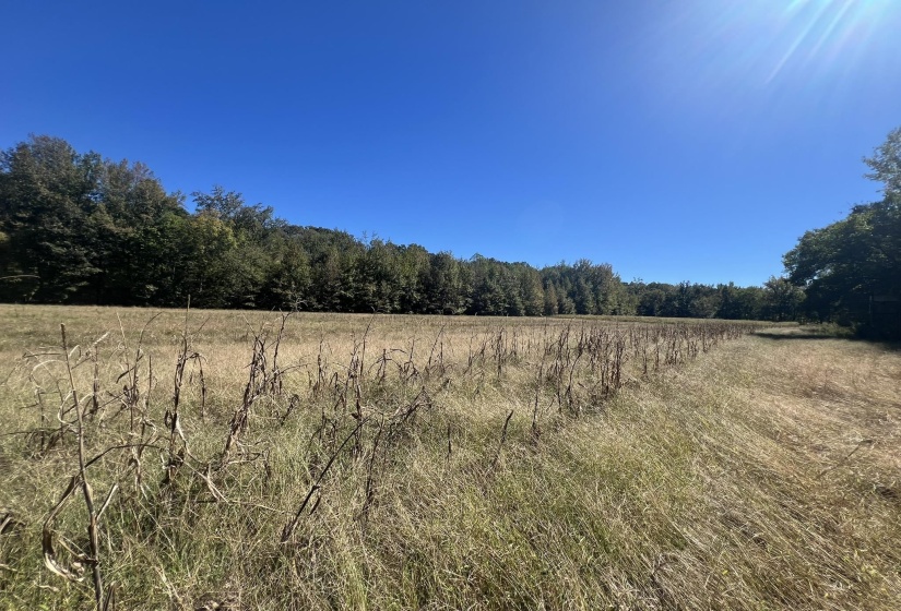 0 WALLS RD, Somerville, Tennessee 38068, ,Land,For Sale,WALLS,10207816