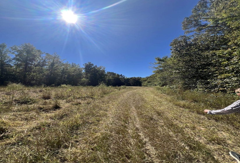 0 WALLS RD, Somerville, Tennessee 38068, ,Land,For Sale,WALLS,10207816