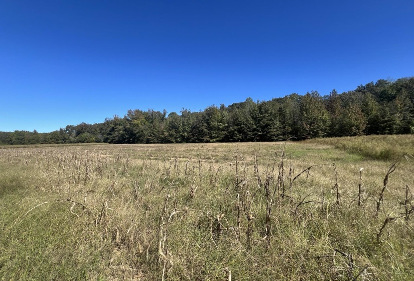 0 WALLS RD, Somerville, Tennessee 38068, ,Land,For Sale,WALLS,10207816