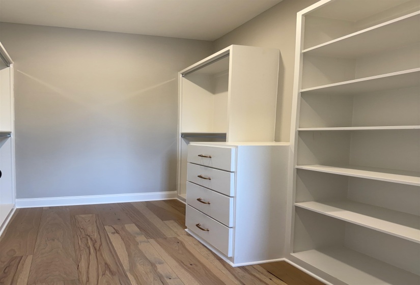 Spacious closet with light wood-type flooring