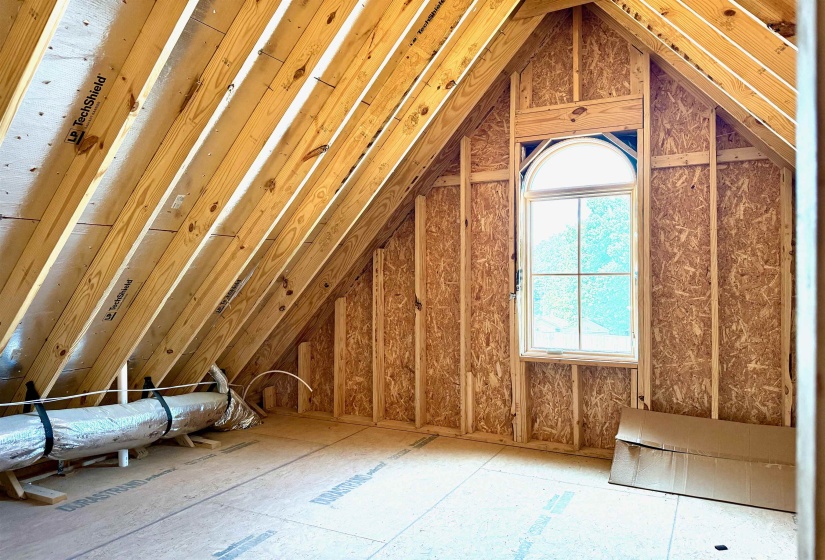 View of unfinished attic
