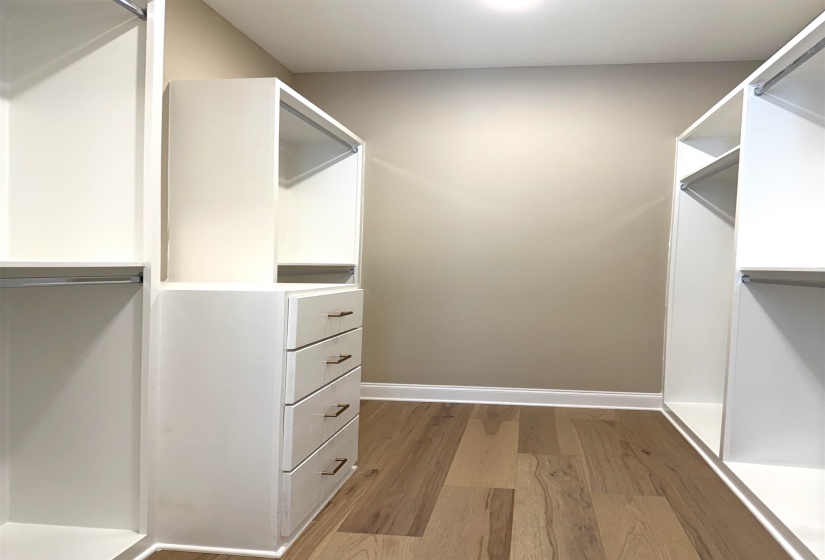 Walk in closet with light wood-type flooring