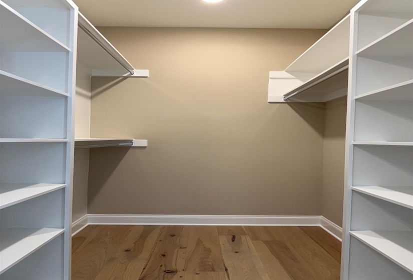 Walk in closet with wood finished floors