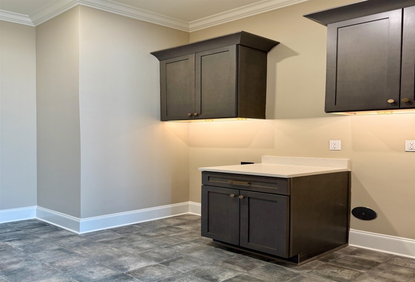 Laundry area featuring ornamental molding and baseboards