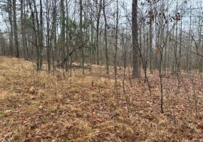 0 HIGHWAY 193 HWY, Eads, Tennessee 38028, ,Land,For Sale,10207857 0 HIGHWAY 193 HWY, Eads, Tennessee 38028, ,Land,For Sale,10207857