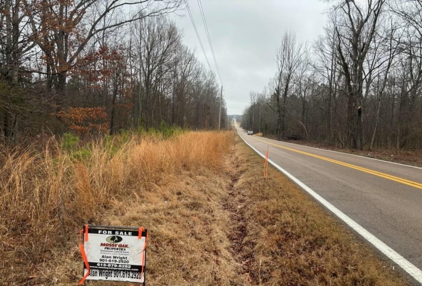 0 HIGHWAY 193 HWY, Eads, Tennessee 38028, ,Land,For Sale,10207857