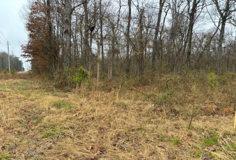 0 HIGHWAY 193 HWY, Eads, Tennessee 38028, ,Land,For Sale,10207857