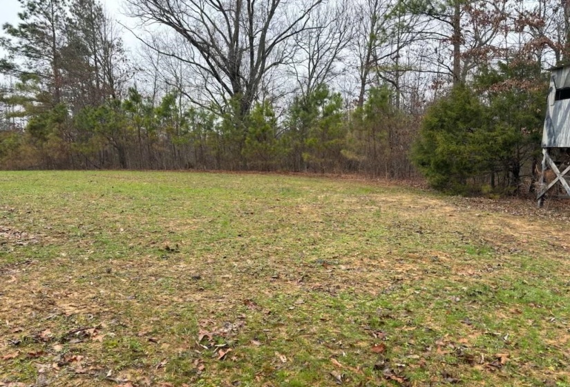 0 HIGHWAY 193 HWY, Eads, Tennessee 38028, ,Land,For Sale,10207857