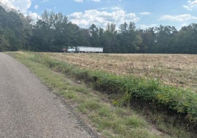 0 PEAVINE RD RD, Middleton, Tennessee 38052, ,Land,For Sale,PEAVINE RD,10207861 0 PEAVINE RD RD, Middleton, Tennessee 38052, ,Land,For Sale,PEAVINE RD,10207861
