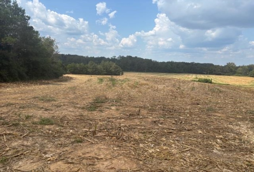 View of wooded area featuring a view of countryside