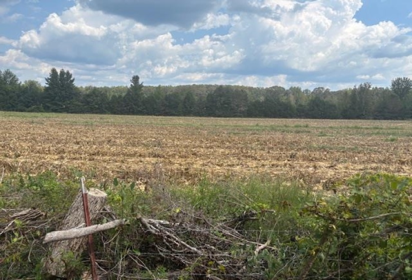 View of tree filled area featuring a view of countryside