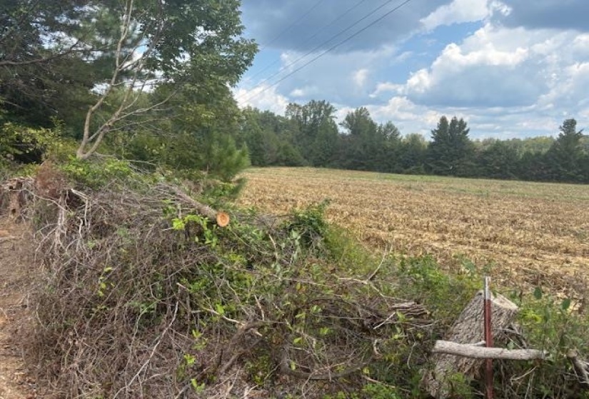 View of woods featuring a rural view