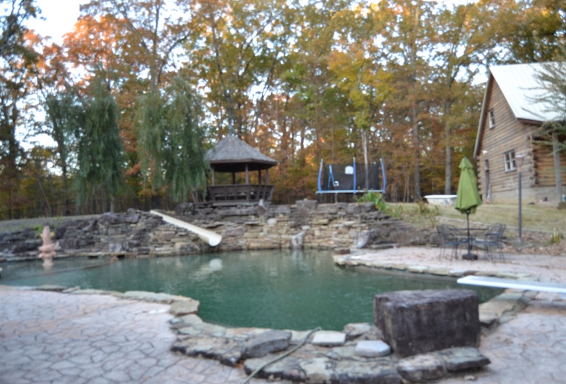 Outdoor pool with a diving board, a gazebo, a trampoline, a water slide, and a patio