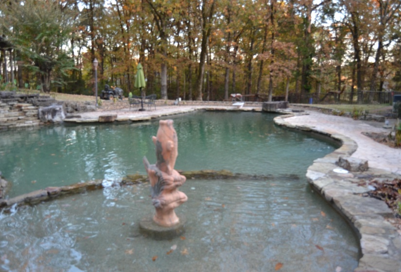 Outdoor pool featuring a patio