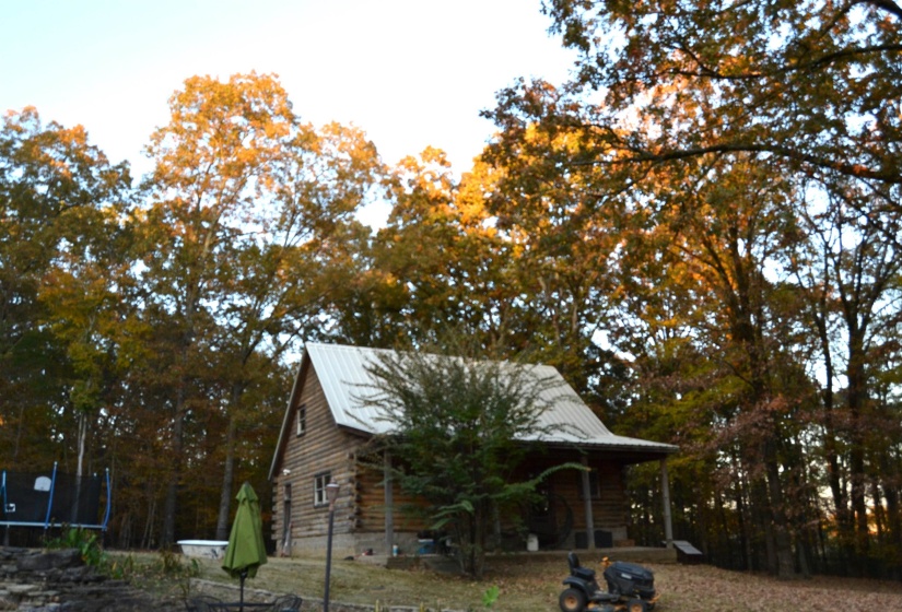 Cabin with a trampoline, log siding, a metal roof, and view of scattered trees