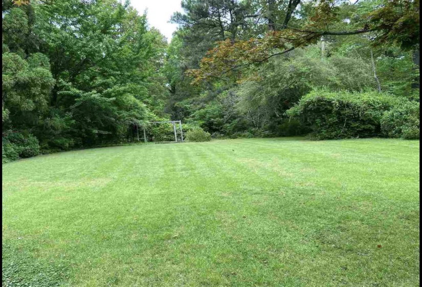 View of green lawn featuring a wooded view