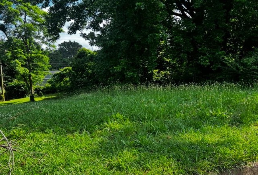 342 FIELDS AVE, Memphis, Tennessee 38109, ,Land,For Sale,FIELDS,10208137