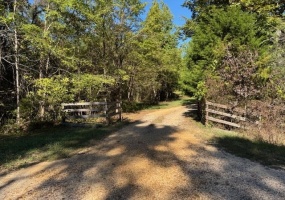 WALNUT GROVE RD, Bolivar, Tennessee 38008, ,Land,For Sale,WALNUT GROVE,10208155