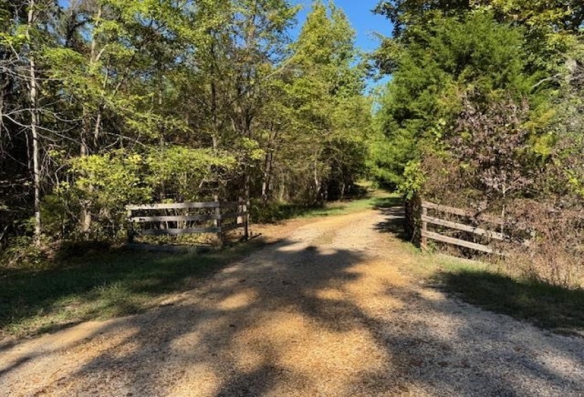 View of dirt / gravel road with a forest view