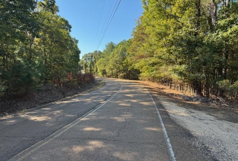 View of asphalt street with a wooded view