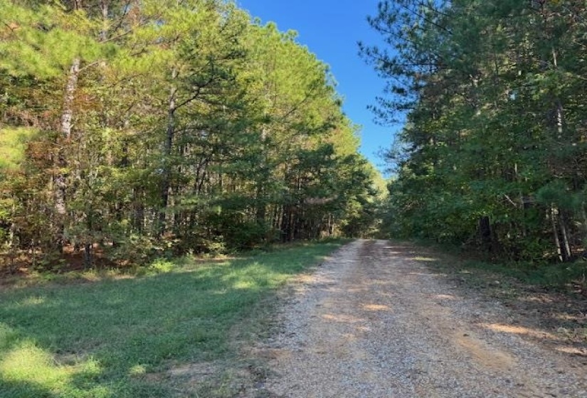 View of dirt / gravel road with a view of trees