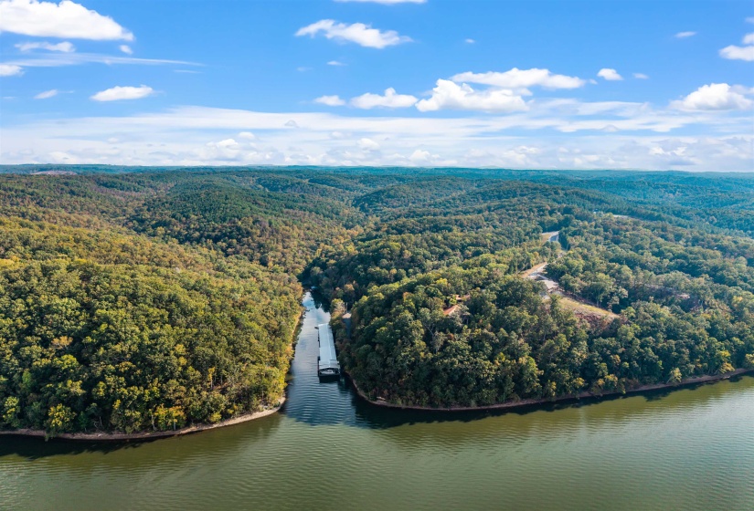 Bird's eye view of a forest and a large body of water