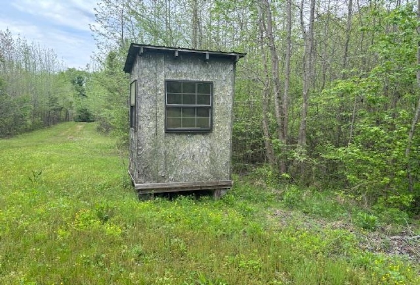 View of shed