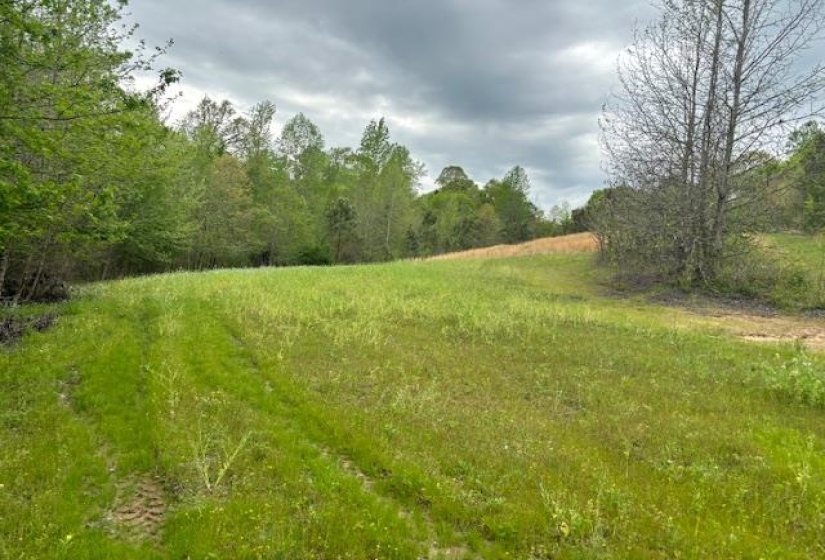 View of wooded area with a view of rural / pastoral area