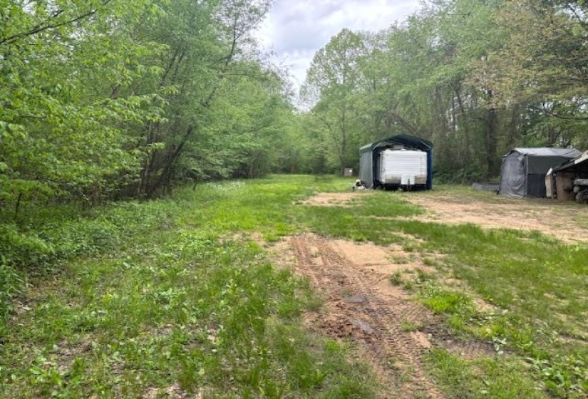 View of yard featuring a view of trees