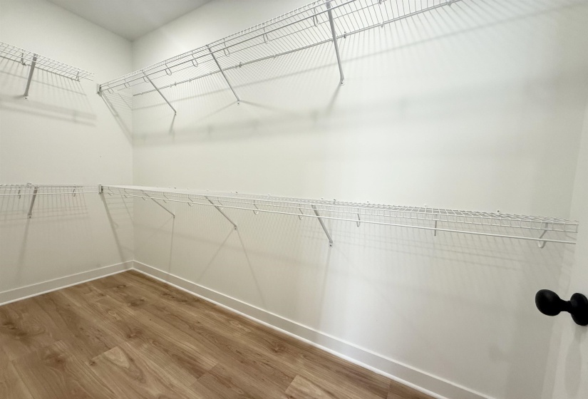 Walk in closet with wood finished floors