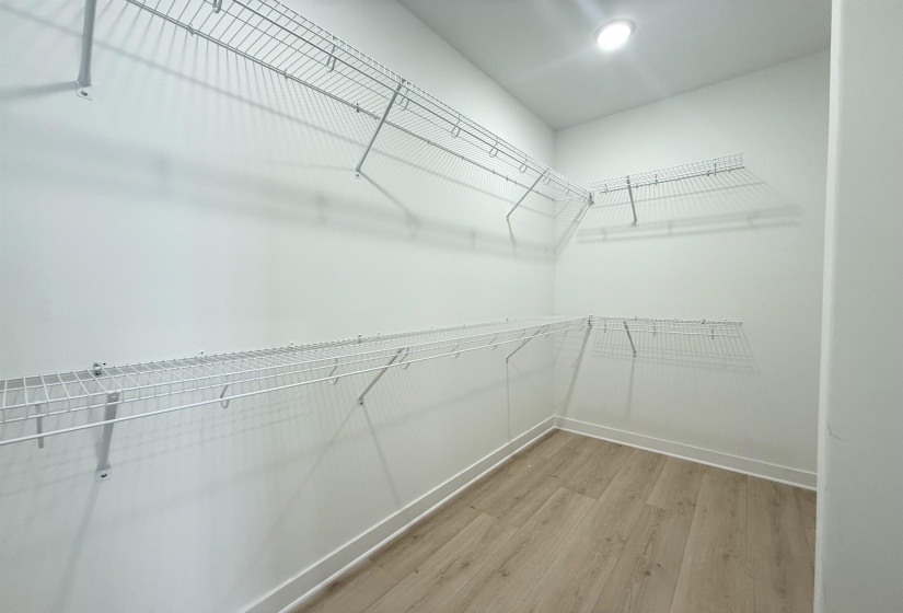 Walk in closet with light wood-type flooring