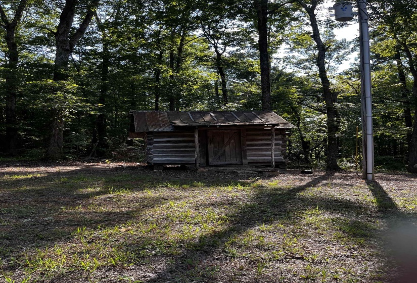 View of yard featuring a storage shed