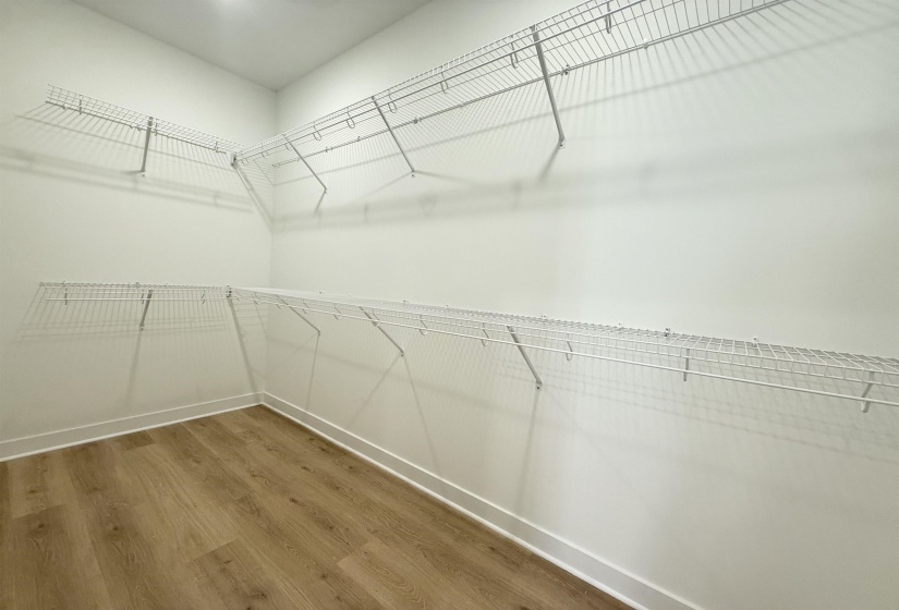 Walk in closet featuring dark wood-type flooring