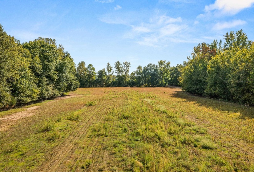 View of yard featuring a rural view