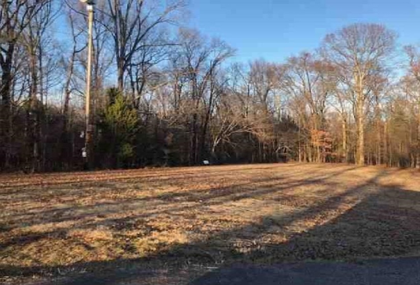 9640 LOU-JAN CSWY, Lakeland, Tennessee 38002, ,Land,For Sale,LOU-JAN,10208386