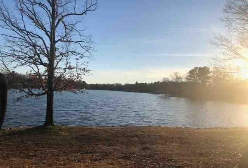 9640 LOU-JAN CSWY, Lakeland, Tennessee 38002, ,Land,For Sale,LOU-JAN,10208386