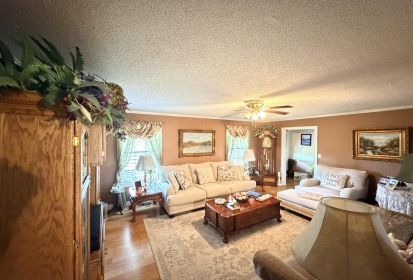 Living room with crown molding, wood finished floors, a textured ceiling, and a ceiling fan