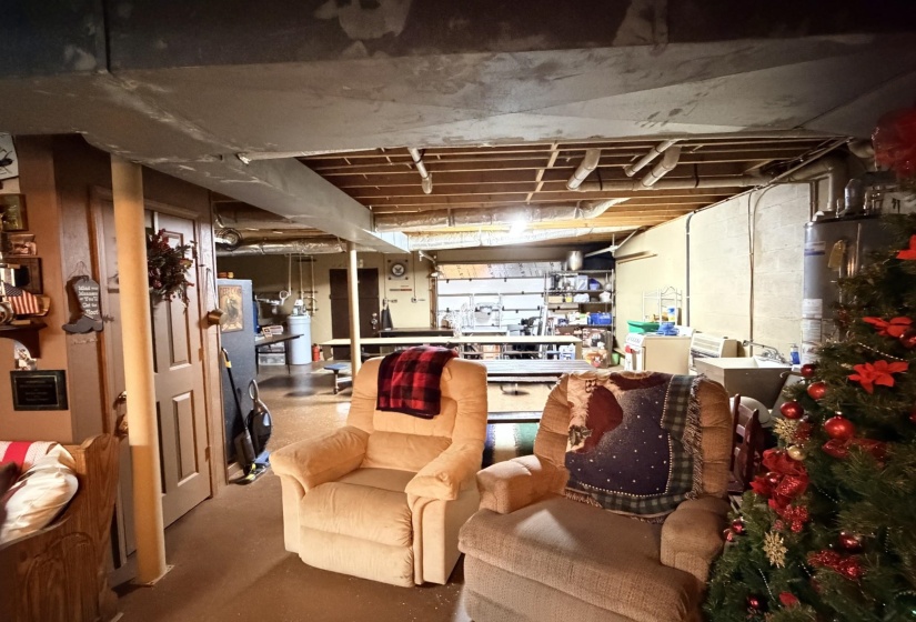 Unfinished basement featuring a water softener and water heater