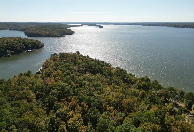 Aerial view of a forest and a nearby body of water