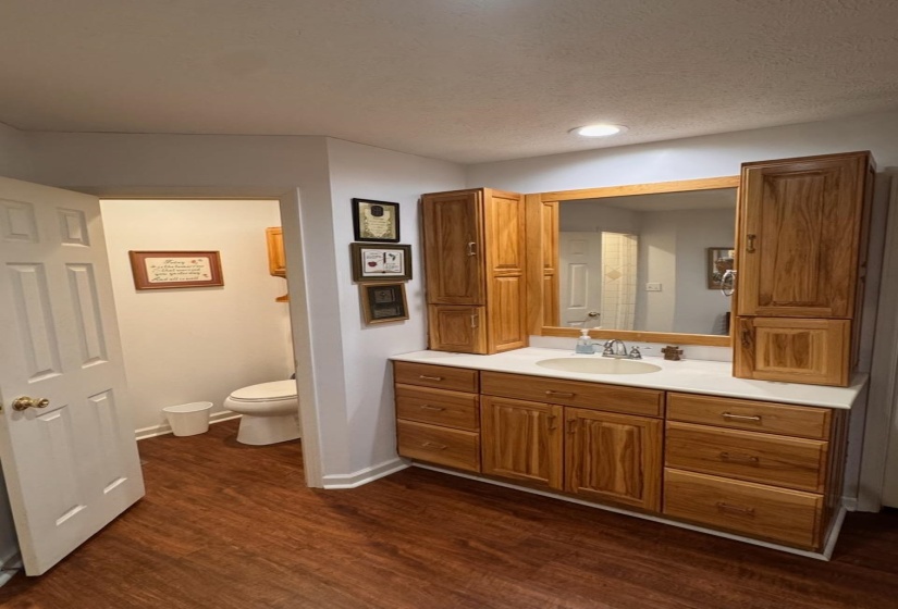 Bathroom featuring toilet, vanity, wood finished floors, a textured ceiling, and baseboards