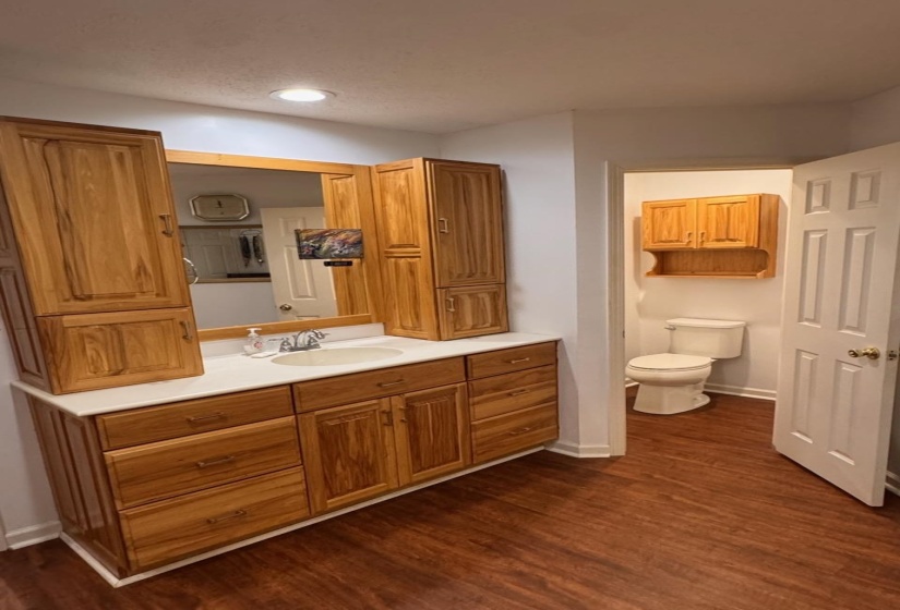 Bathroom with toilet, vanity, baseboards, and wood finished floors