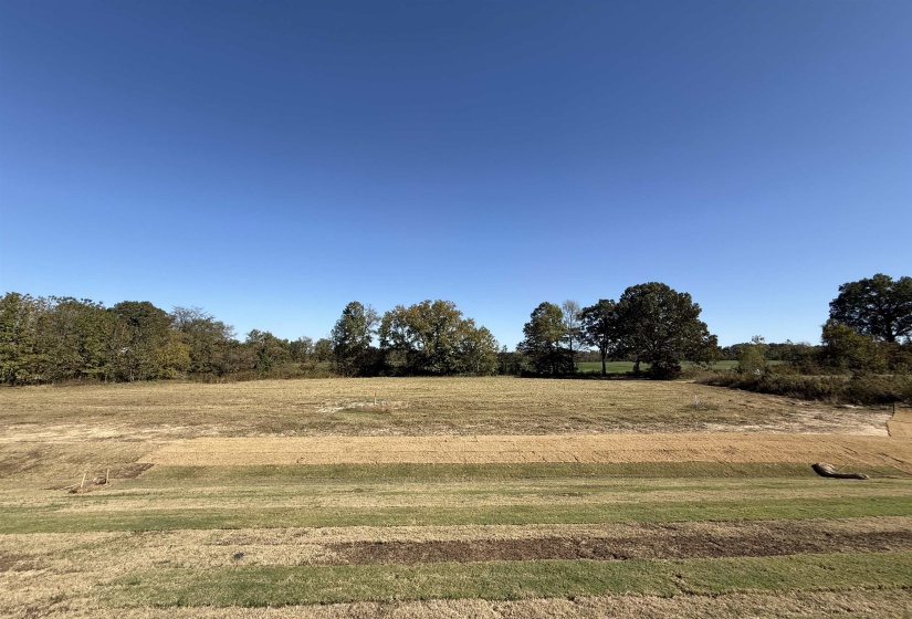 0 222 HWY, Stanton, Tennessee 38069, ,Commercial/industrial,For Sale,222,10208573