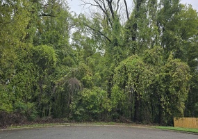 0 CLOWER RD, Memphis, Tennessee 38109, ,Land,For Sale,CLOWER,10208588 0 CLOWER RD, Memphis, Tennessee 38109, ,Land,For Sale,CLOWER,10208588