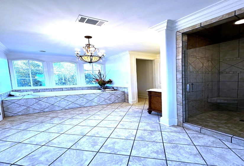 Walk-in shower and tub...