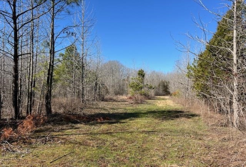 83 HAYS RD, Moscow, Tennessee 38057, ,Land,For Sale,HAYS,10208615