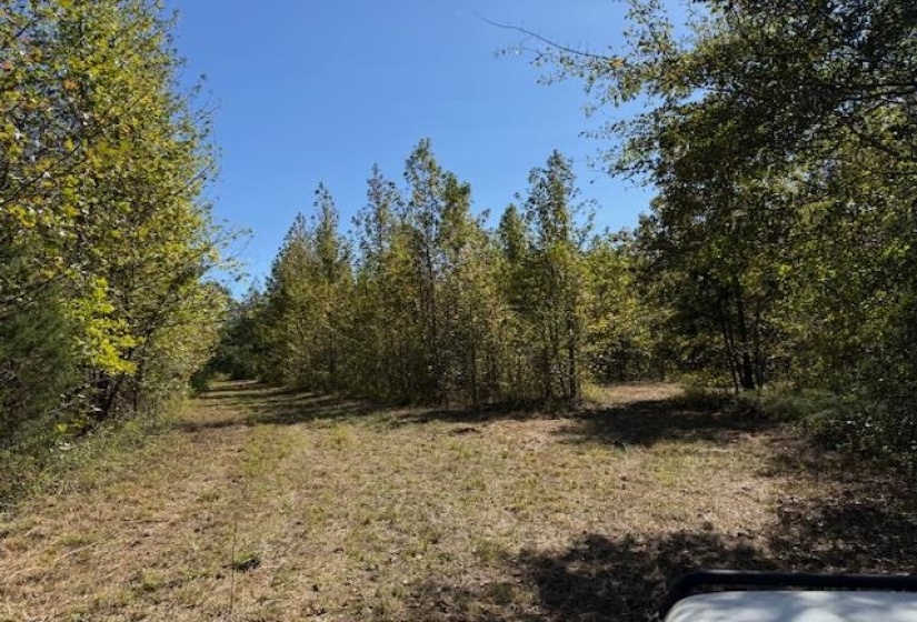83 HAYS RD, Moscow, Tennessee 38057, ,Land,For Sale,HAYS,10208615