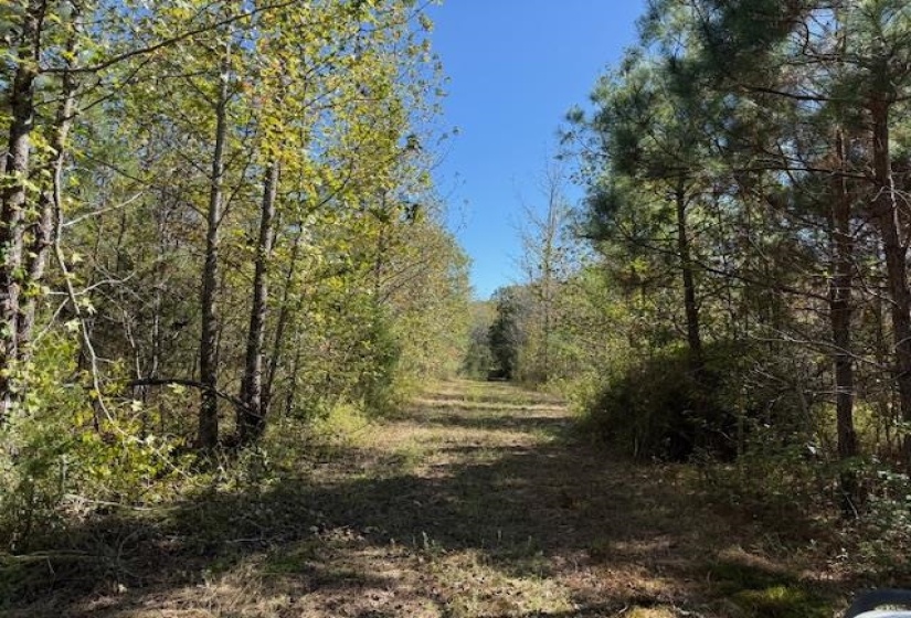 83 HAYS RD, Moscow, Tennessee 38057, ,Land,For Sale,HAYS,10208615